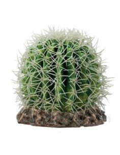 Cactus Sonora M  15x15x13cm Hobby HOBBY - 1