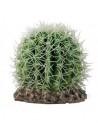Cactus Sonora M 15x15x13cm Hobby HOBBY - 1