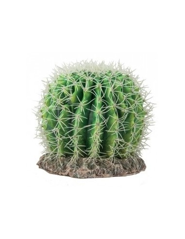 Cactus Sonora L  18x18x23cm Hobby HOBBY - 1