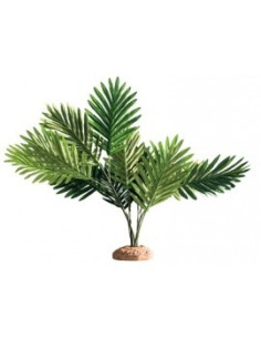 Palmier 60x40x55cm Hobby HOBBY - 1