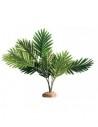 Palmier 60x40x55cm Hobby HOBBY - 1