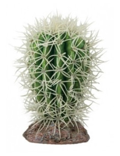Cactus Great Basin 8x8x12.5cm Hobby HOBBY - 1