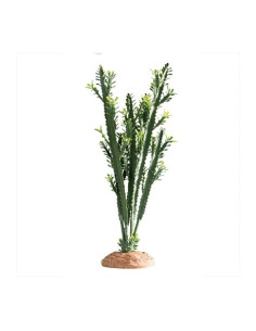 Euphorbia L 25x10x46cm Hobby HOBBY - 1