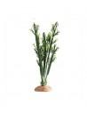 Euphorbia L 25x10x46cm Hobby HOBBY - 1