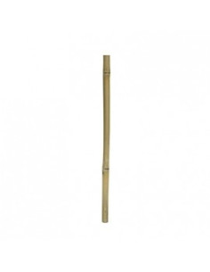 Bamboo Stix 50cm Dia.2-3cm Hobby HOBBY - 1