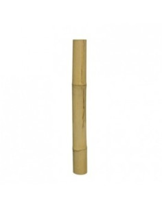 Bamboe Stix 50cm Dia.4.5-5.5cm Hobby HOBBY - 1