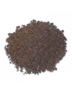 Terrano Terra HOBBY - 1