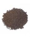 Terrano Terra HOBBY - 1