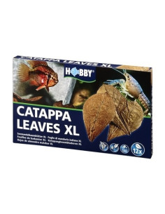 Catappa Leaves XL Hobby HOBBY - 1