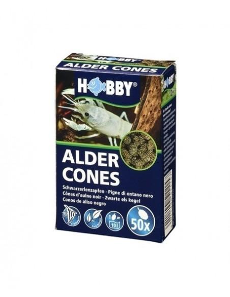 Elzenkegels 50pc Hobby HOBBY - 1