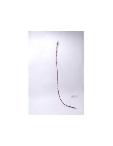 Vine 1200x10x10mm ZOOMED - 1