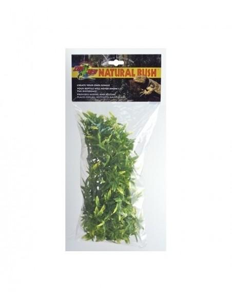 Plante Bolivian Croton M - Zoomed ZOOMED - 1