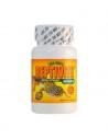 Reptivite sans D3 57gr ZOOMED - 1
