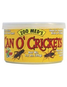 Can'O Cricket 35g Zoomed ZOOMED - 1