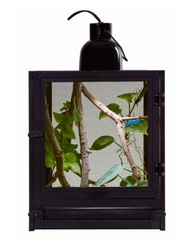 Nano Breeze (insectenterrarium) Zoomed ZOOMED - 1