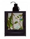 Nano Breeze (terrarium insecte) Zoomed ZOOMED - 1