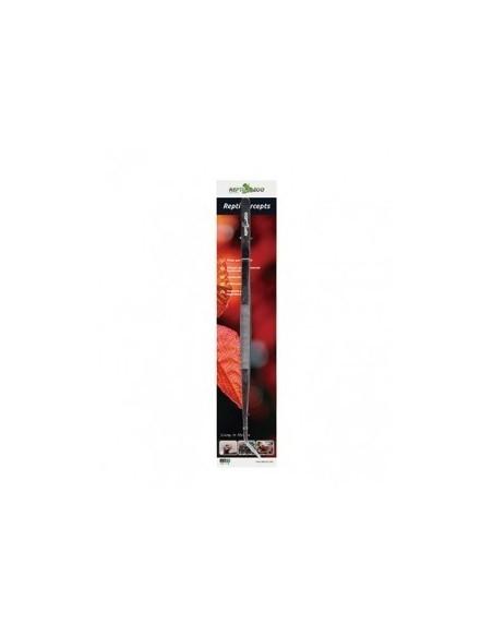 Pince inoxydable 40cm pour nourriture - Reptizoo Reptizoo - 1