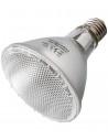 Lampe Spot Halogene 50w Reptizoo Reptizoo - 1