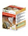 Lampe Spot Halogene 50w Reptizoo Reptizoo - 2