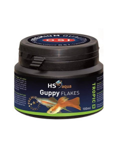 Hs Aqua Guppy Flakes HS aqua - 1