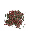 Pondfood 3 mm Top Koi Quality Mix - 10kg HS aqua - 1