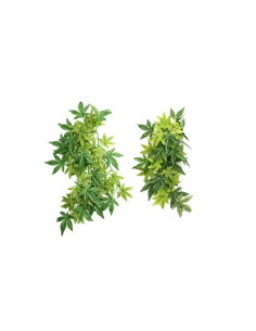 Iha Leaves 50cm Reptizoo Reptizoo - 1