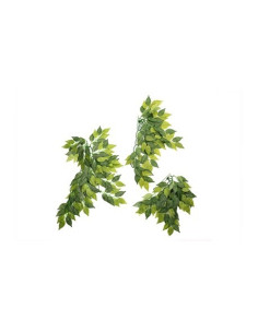 Banyan Leaves 50cm Reptizoo Reptizoo - 1