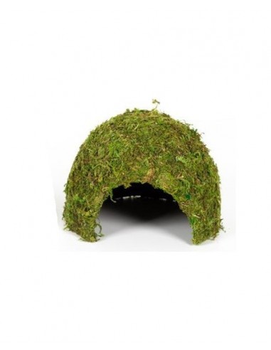 Dome Mousse Naturelle 17x17x12cm Reptizoo Reptizoo - 1