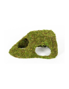 Dome Mousse Naturelle 25.5x14x11.5cm Reptizoo Reptizoo - 1