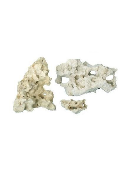 SANSIBAR ROCK MEDIUM AquaBota - 1
