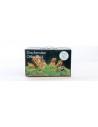 Deco Set Dragon Stone pour aquarium 60l AQUA DECO - 1