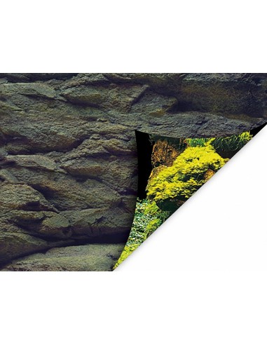Poster de fond Roche/plante Aqua-NoVa - 1