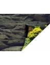 Achtergrondposter Steen/plant Aqua-NoVa - 1