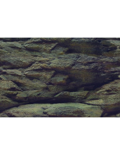 Achtergrondposter Steen/plant Aqua-NoVa - 3