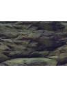 Achtergrondposter Steen/plant Aqua-NoVa - 3