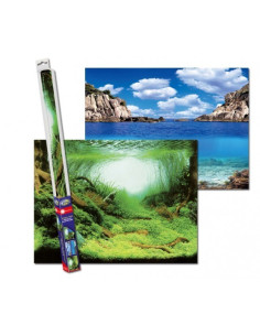 Achtergrond Poster Planten/Oceaan Aqua-NoVa - 4