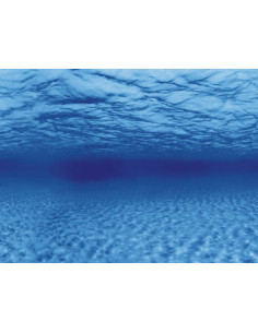 Poster de fond Racines/Eau Aqua-NoVa - 2