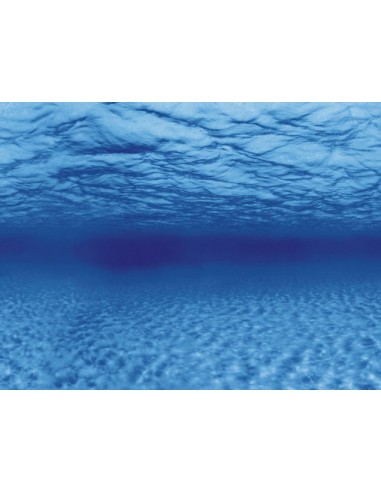 Poster de fond Racines/Eau Aqua-NoVa - 2