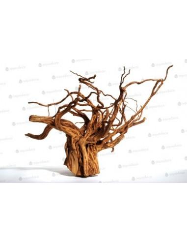 Red Moorwood Mini 10-20cm Pc AQUA DECO - 2